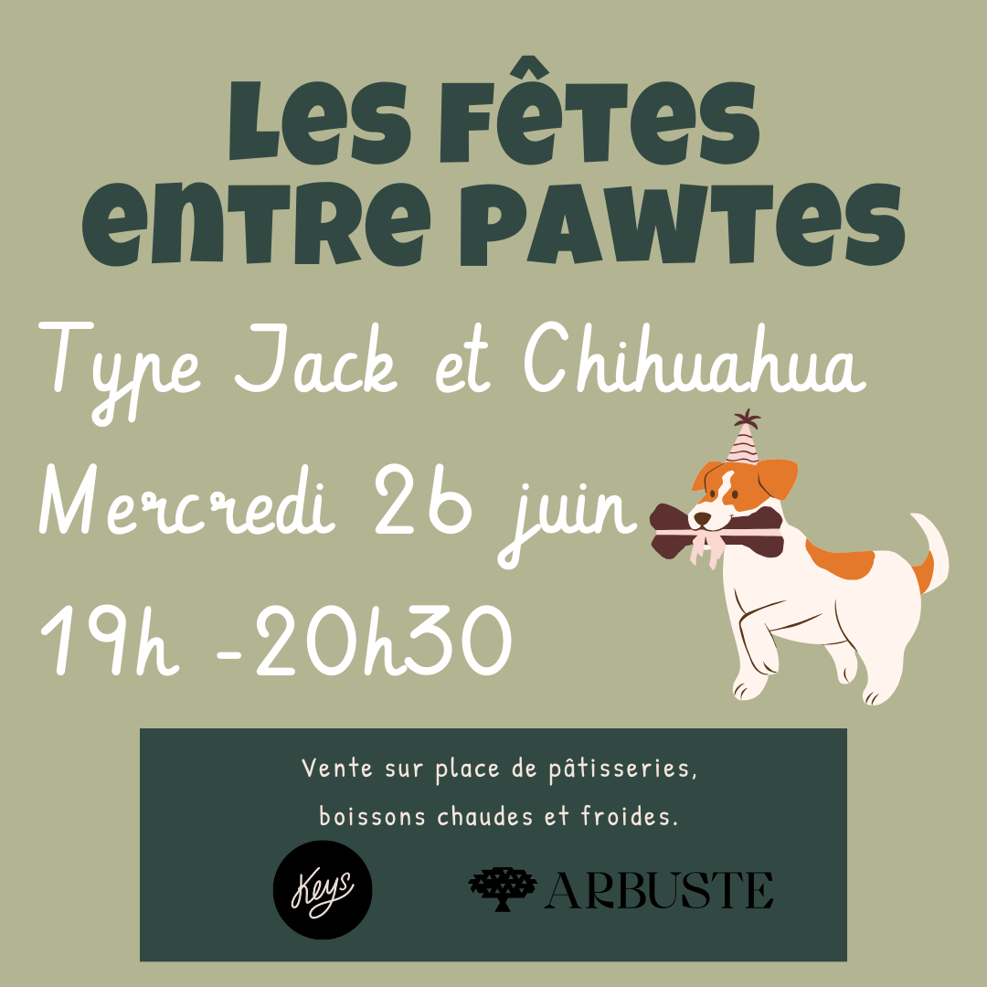 Type Jack Russel et Chihuahua